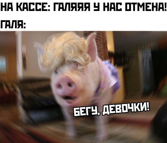 Нд КдППЕ ГдЛППП НПП ПТМЕНд