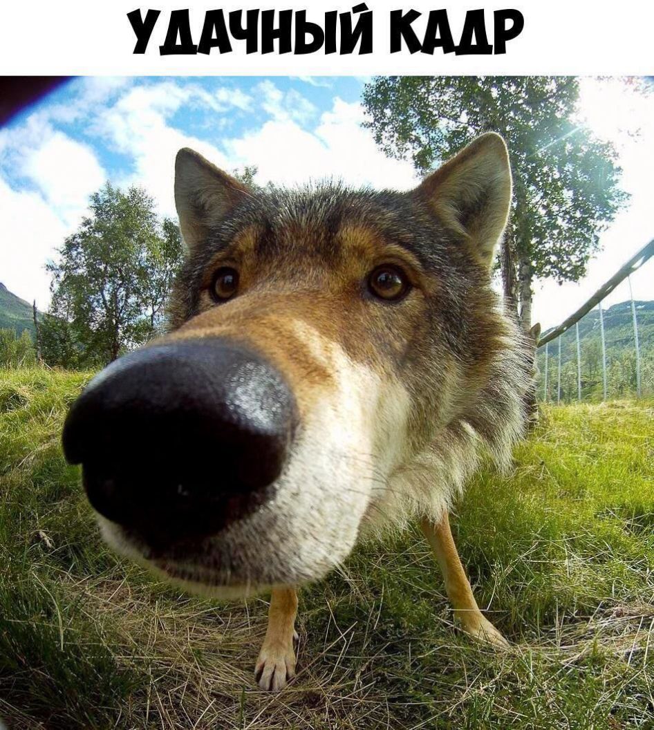 ЙР УМ ны