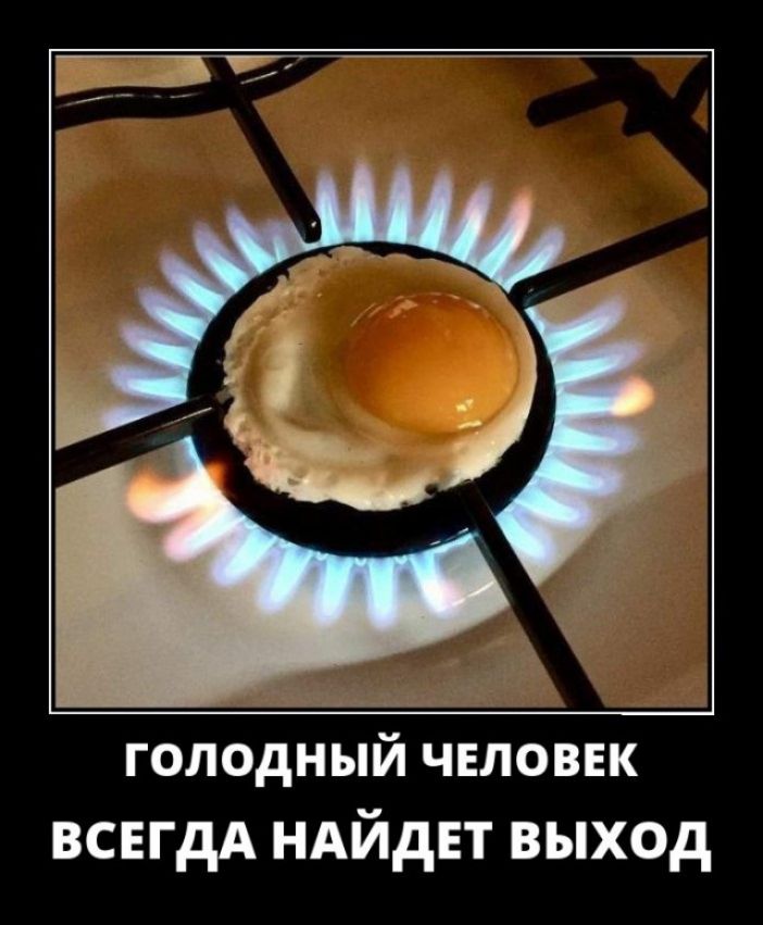 ГОЛОДНЫЙ ЧЕЛОВЕК ВСЕГДА НАЙдЕТ выход