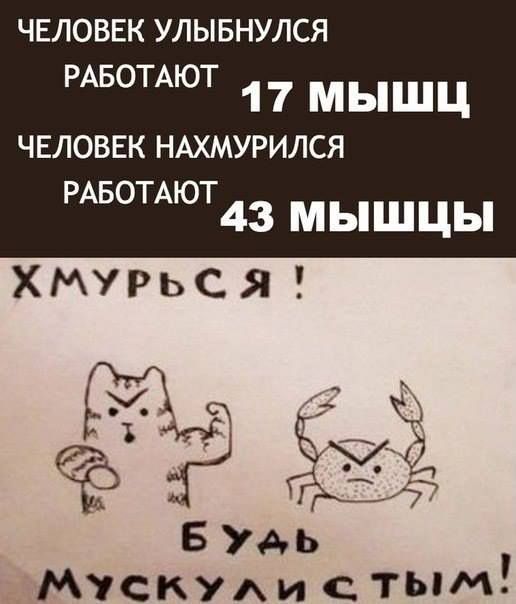 ЧЕЛОВЕК улывнулся 17МЫШЦ РАБОТАЮТ ЧЕЛОВЕК НАХМУРИЛСЯ РАБОТАЮТ 43 мышцы ХМУРьСЯ БУАЬ Мускулхи тым
