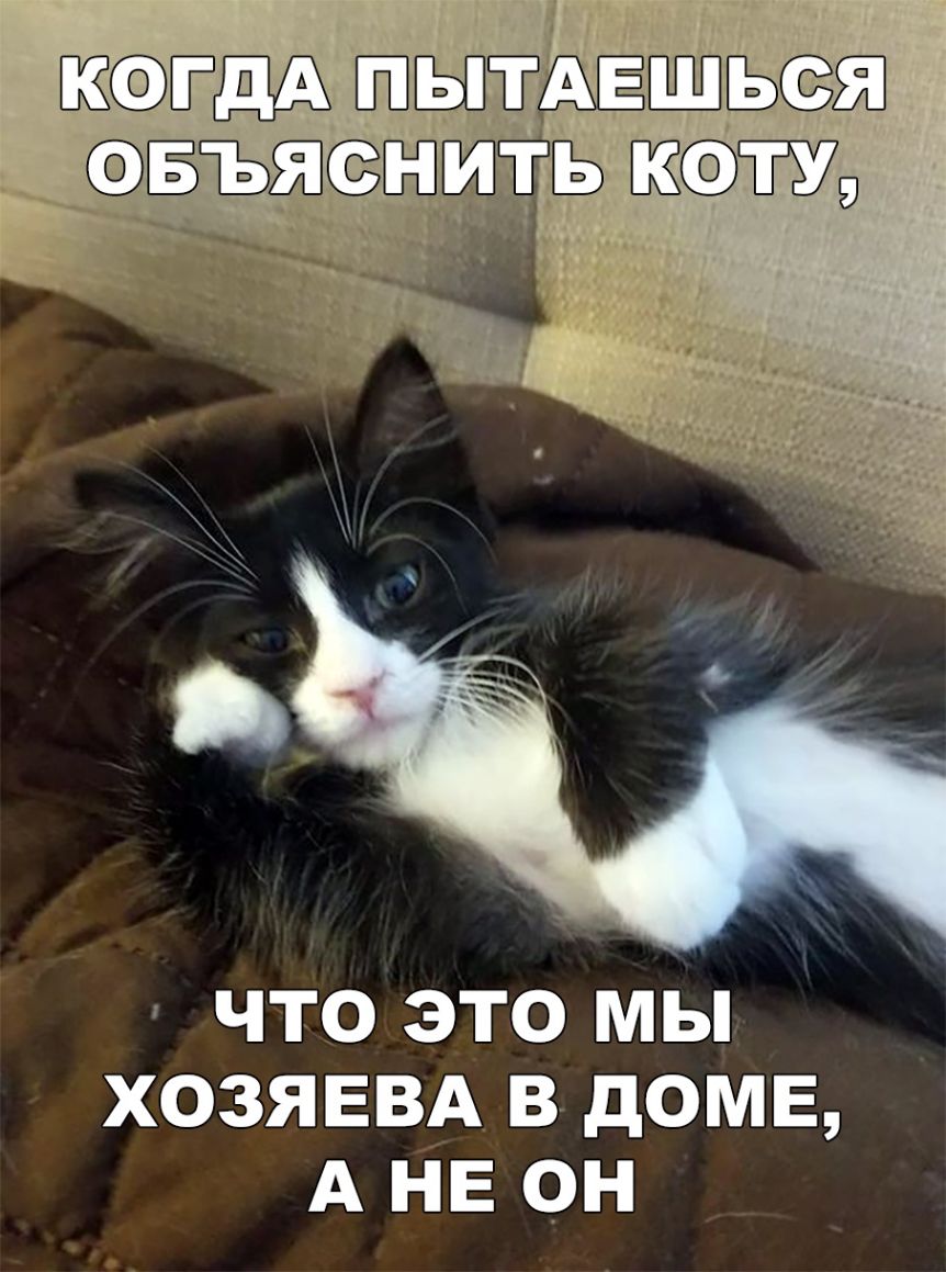 взфэгдд тъіа Ъъ ЧТО ЭТО МЫ ХОЗЯЕВА В дОМЕ А НЕ О_Н