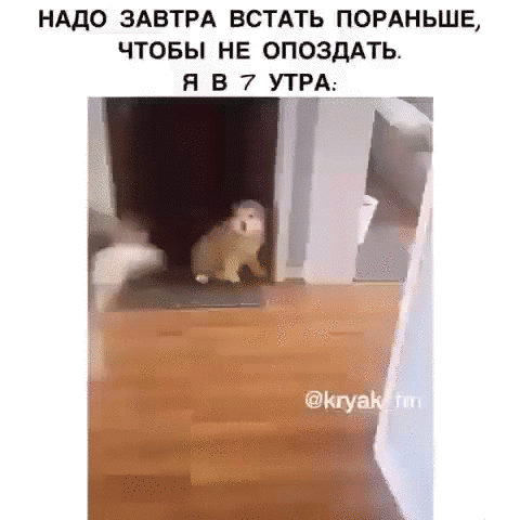 НАДО ЗАВТРА ВСТАТЬ ПОРАНЬШЕ ЧТОБЫ НЕ ОПОЗДАТЬ Я В 7 УТРА