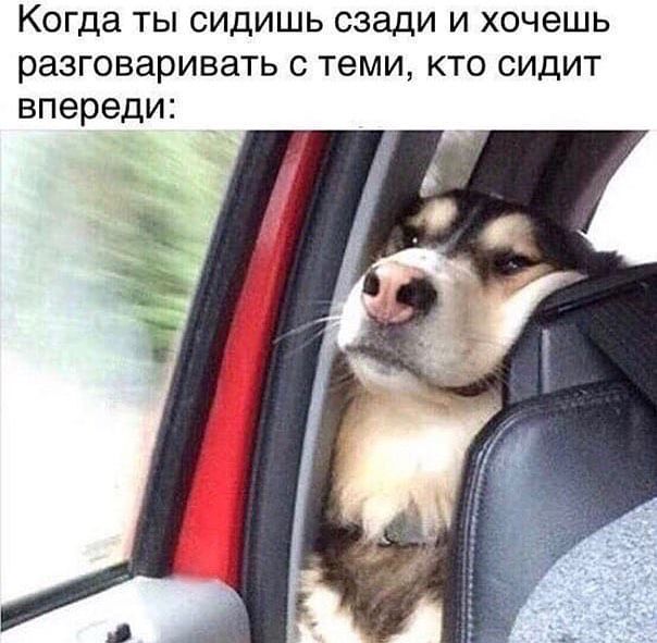 Когда ТЫ СИДИШЬ сзади И ХОЧЭШЬ разговаривать С теми КТО СИДИТ впереди