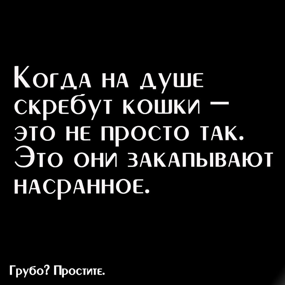 На душе скребутся кошки. Кошки скребут насранное закапывают. Грубо простите. Кошки скребутся на душе картинка.