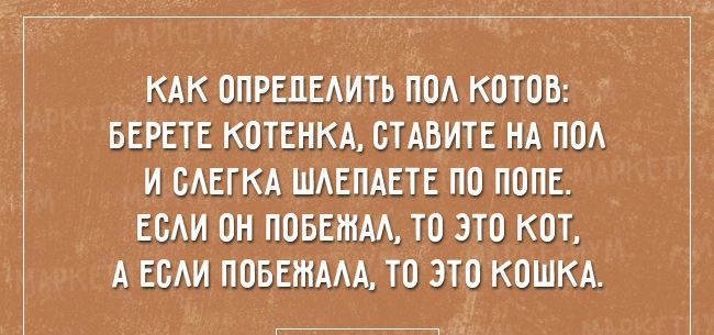 КАК ОПРЕПЕАИТЬ ПВА КОТОВ БЕРЕТЕ КОТЕНКА СТАВИТЕ НА ПОА И САЕГКА ШАЕПАЕТЕ ПО ПОПЕ ЕСАИ ОН ПОБЕШАА ТО ЭТО КОТ А ЕСАИ ПОБЕЖААА ТО ЭТО КОШКА