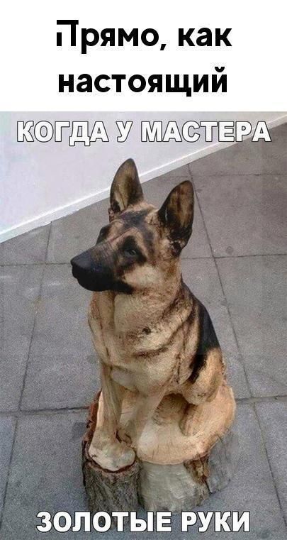 Прямо как настоящий ЁД 37 РА ЗОЛОТЫЕ РУКИ