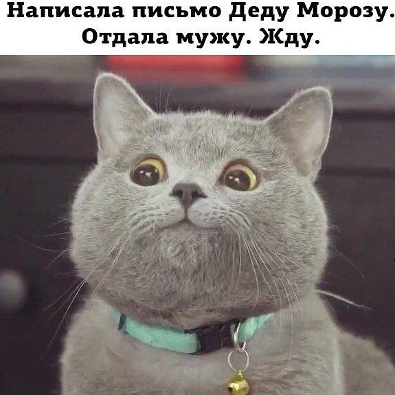 Написала письмо деду Морозу Отдапа мужу Жду