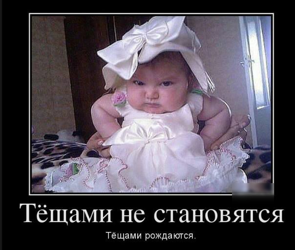 ТёщаМИ не становятся Тэщами рожда ются