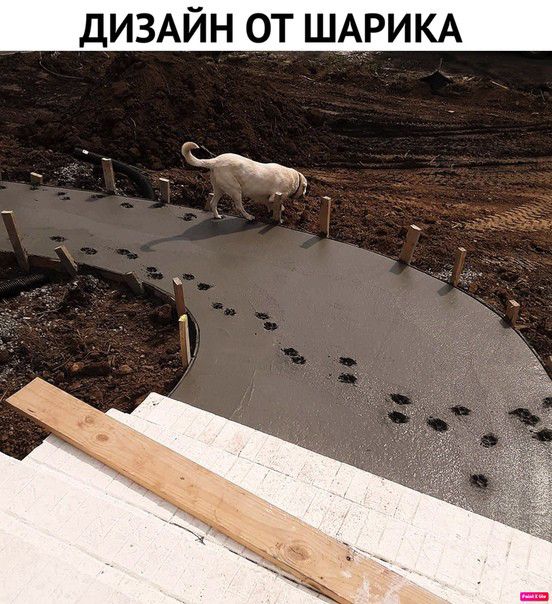 ДИЗАЙН ОТ ШАРИКА