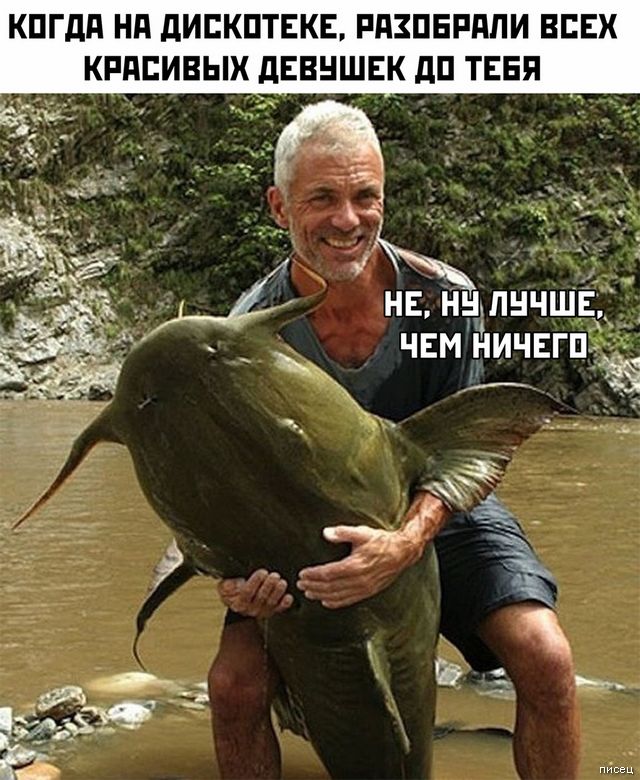кпгдд нд дипкптнкв пдзпвпдпи всех кпдпивых дЁвншвк дп тввя нв нцлнчшЁ чвм ничвгП ад На