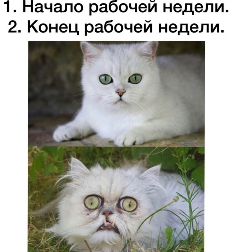 1 Начало рабочей недели 2 Конец рабочей недели