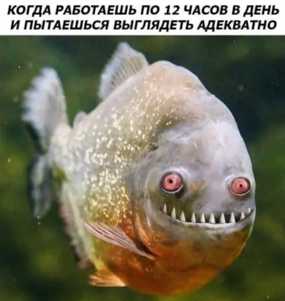 КОГДА РАБОТАЕШЬ по 12 чдсов в день и пытдвшься выглядеть АДЕКВАТНО