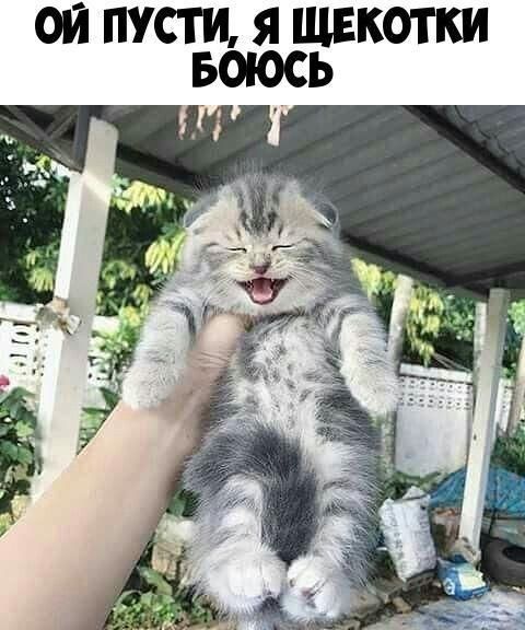 ОЙ ПУСТИ Я ЩЕКОТКИ
