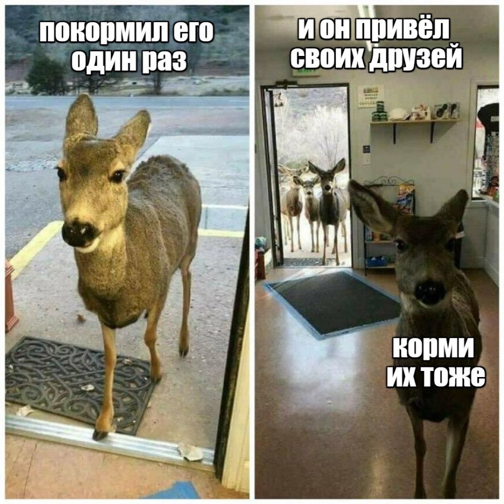 ШИЮПМИП ЕЩЁ И он ИПИВЁП один раз БВВИХ дИУЗВИ ИХ ШЖВ