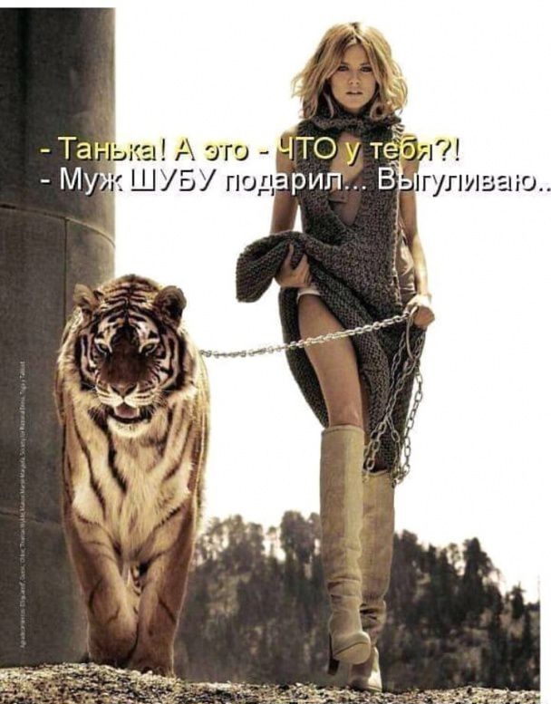 гулизаю