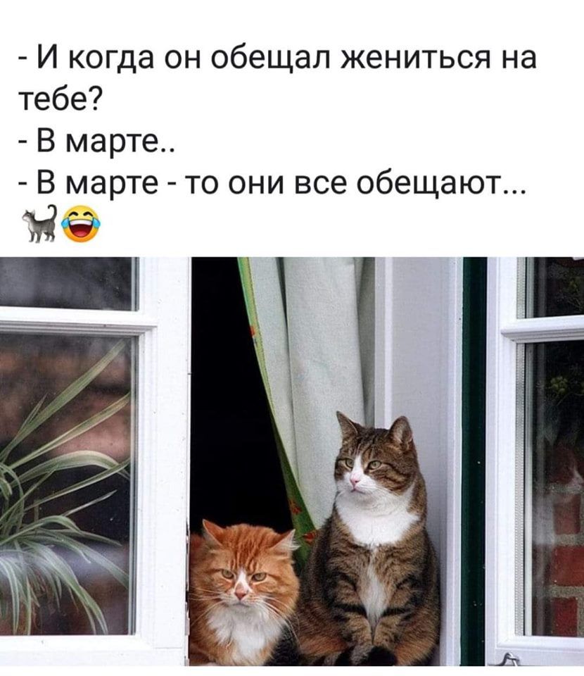 И когда он обещал жениться на тебе В марте В марте то они все обещают на