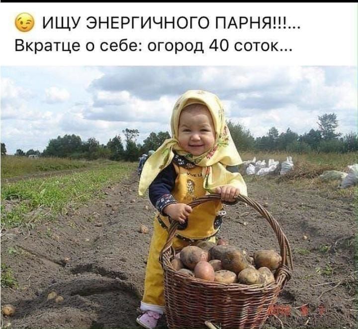 б ИЩУ ЭНЕРГИЧНОГО ПАРНЯШ Вкратце о себе огород 40 соток