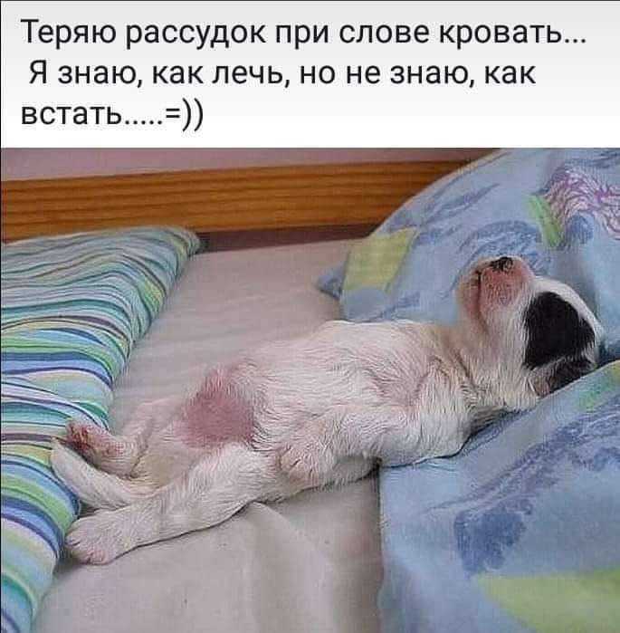 Теряю рассудок при слове кровать Я знаюкак лечь но не знаюкак встать