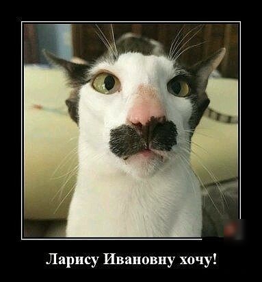 Ларису Ивановну хочу