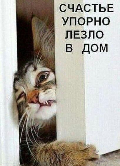 СЧАСТЬЕ упорно пвзпо в дом