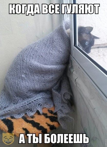 дТЫ БПЛЕЕШЬ