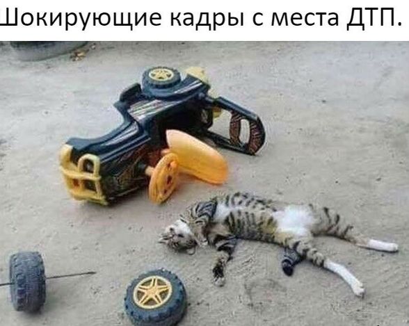 Шокирующие кадры с места ДТП