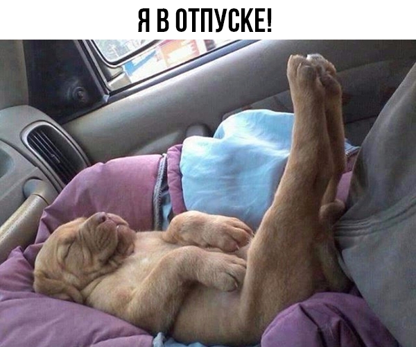 Я В ПТПУБКЕ
