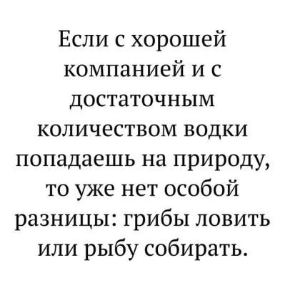 Если с хорошей компанией и с достаточным количеством водки попадаешь на природу то уже нет особой разницы грибы ловить или рыбу собирать