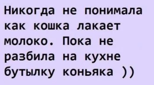 Никогда не понимала как кошка лакает молоко Пока не разбила на кухне бутылку коньяка