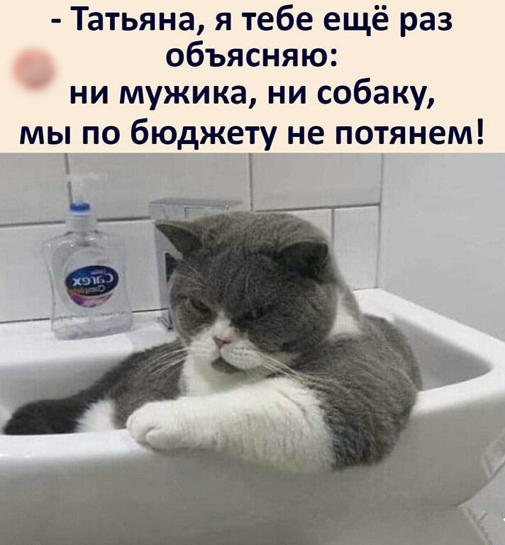 Татьяна я тебе ещё раз объясняю ни мужика ни собаку мы по бюджету не потянет ____