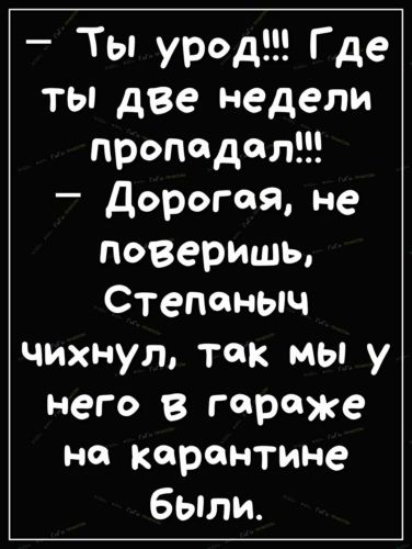 Ты урод Где ты две недели пропадал Дорогая не поверишь Степеныч чихнул так мы у него в гараже не карантине были