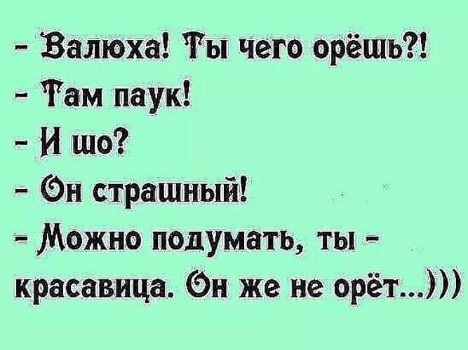 Валюха Ты чего орёшь Там паук И шо Эн страшньпа Можно подумать ты красавица Он же не орёт
