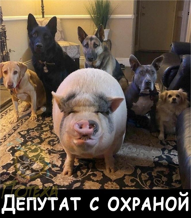 ДепуіАт с ЬйРАНо