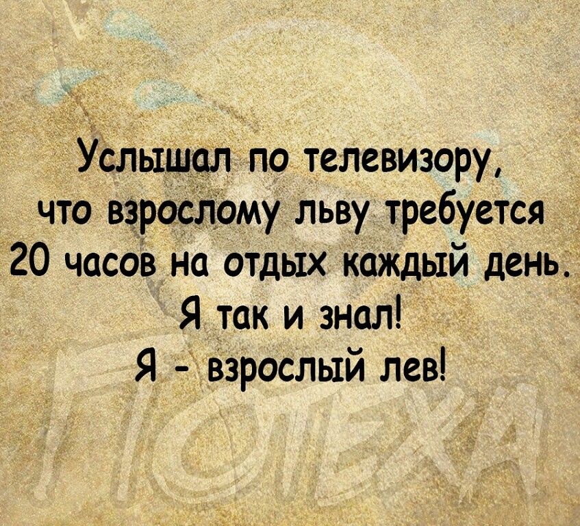_ слышал По телевизору что взрос ому Льву требуется 20 часов на отдых каждый день Я так и знал Я ч333р0слый лев
