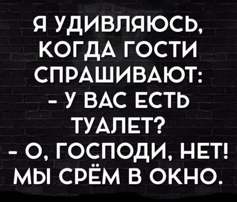 Я УДИВПЯЮСЬ КОГДА ГОСТИ СПРАШИВАЮТ У ВАС ЕСТЬ ТУАЛЕТ О ГОСЗПОДИ НЕТ МЫ СРЕМ В ОКНО