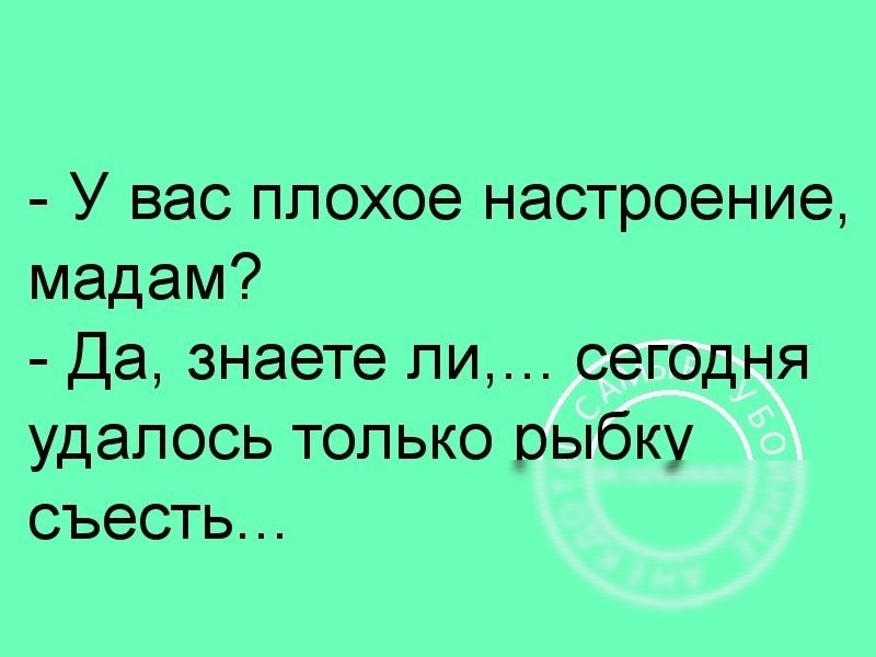 У вас плохое настроение мадам Да знаете ли сегодня удалось только оыбку съесть