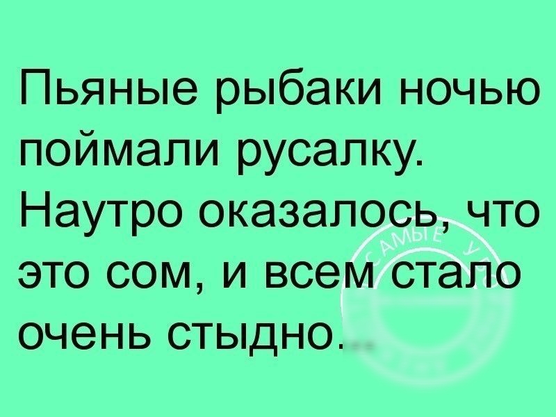 Пьяные рыбаки ночью поймали русалку Наутро оказалось что это сом и всем стало очень стыдно