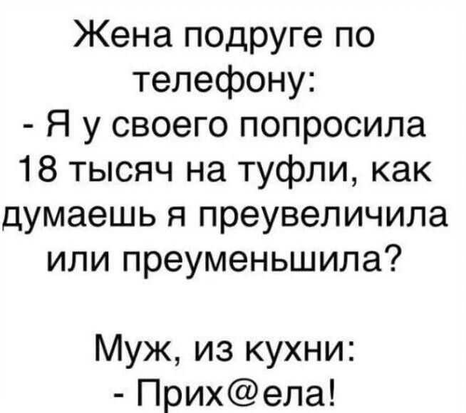 Жена подруге по телефону Я у своего попросила 18 тысяч на туфли как думаешь я преувеличила или преуменьшила Муж из кухни Прихела