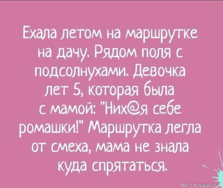 Ехала летом на маршрутке на дачу Рядом поля с подсолнухами Девочка Лет 5 которая была с мамой Нихя себе ромашки Маршрутка легла от смеха мама не знала куда спрятаться