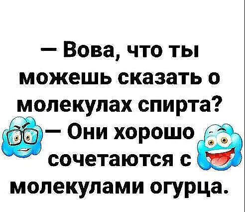 Вова что ты можешь сказать о молекулах спирта Они хорошо сочетаются с Ты молекулами огурца