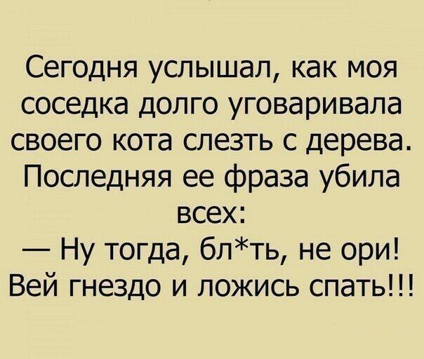 Сегодня услышал как моя соседка долго уговаривала своего кота слезть с дерева Последняя ее фраза убила всех Ну тогда блть не ори Вей гнездо и ложись спать