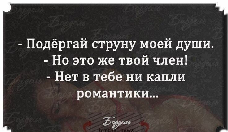 Подёргай струну моей души Но это же твой член Нет в тебе ни капли романтики Жум