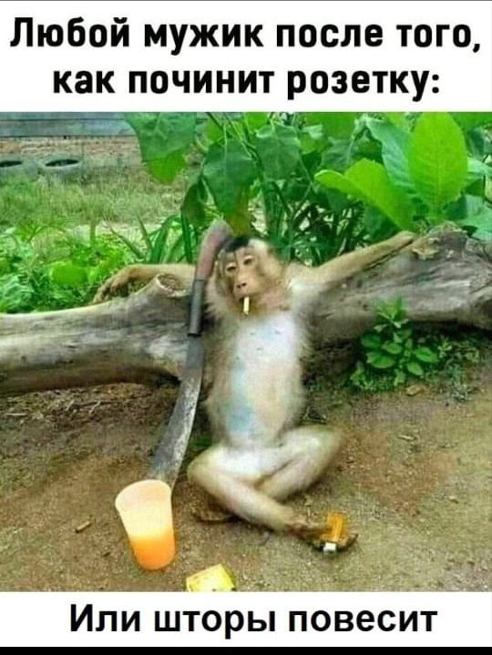 Любой мужик после того как починит розетку щ д ддт _ ггг МГ д Или шторы повесит
