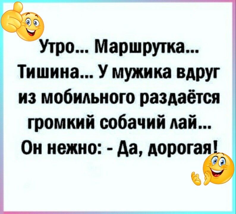 Утро Маршрутка Тишина У мужика вдруг из мобильного раздаётся громкий собачий дай Он нежно Аа дорогая