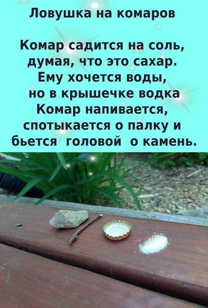 Ловушка НЗ КОМЗРОВ Комар садится на соль думая что это сахар Ему хочется воды но в крышечке водка Комар напивается спотыкается о папку и бьется головой о камень
