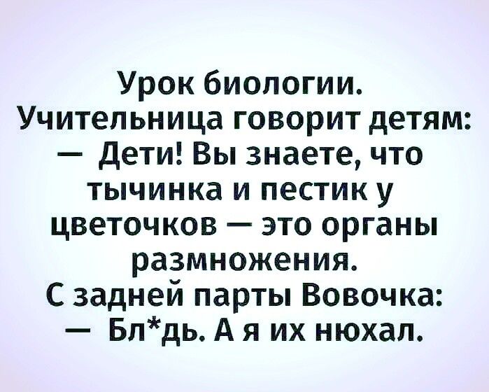 Урок биологии Учительница говорит детям дети Вы знаете что тычинка и пестик у цветочков это органы размножения С задней парты Вовочка Блдь А я их нюхал