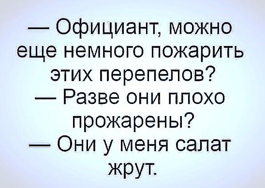Официант можно еще немного пожарить этих перепепов Разве они плохо прожарены Они у меня салат жрут