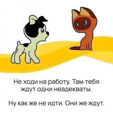 Не ходи на работу Там тебя ждут одни неадекватьь Ну как же не идти Они же ждут