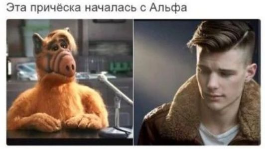 Эта прическа началась с Альфа