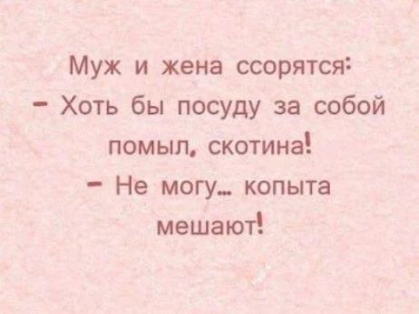 Муж и жена ссорятся Хоть бы посуду за собой помыл скотина Не могу копыта мешают